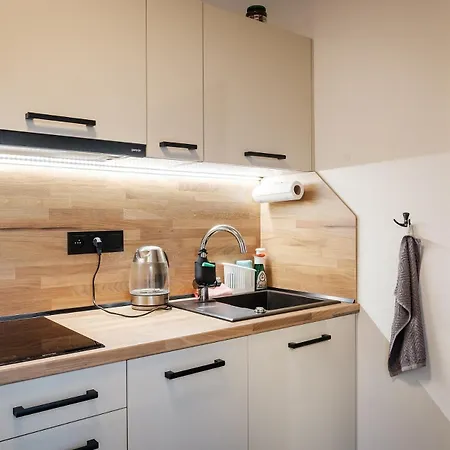 Apartman Pod Zalym - Horejsi Vrchlabí